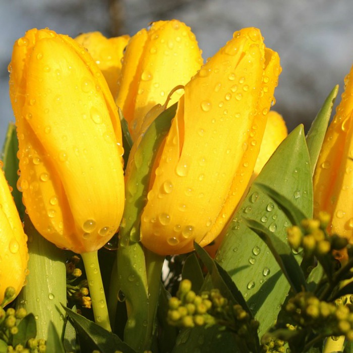 Can Broken Lives Heal