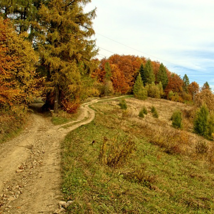 The Mind Body Connection